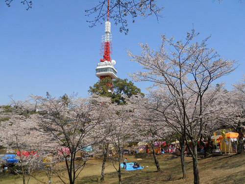 八幡山公園