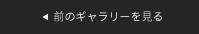 前のギャラリーを見る