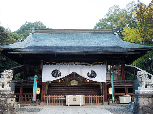 杜に囲まれた静寂の地 二荒山神社ので挙げる神前結婚式